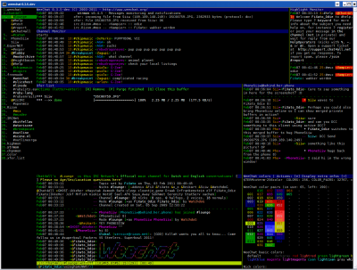 IRC Clients-Weechat-0.3.5-dev-Lounge-colors-higmon-chanmon-xfer-horizontal buffers-merged private buffers.png